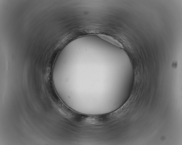 X0000096990171200802291217