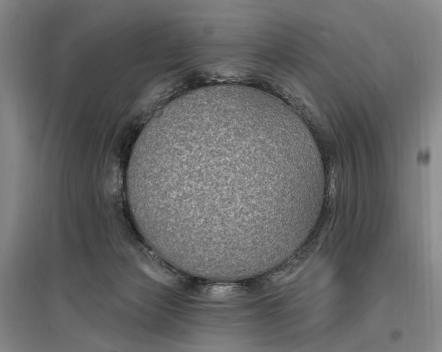 X0000096990173200802291218