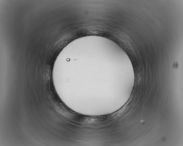 X0000096990174200802291218