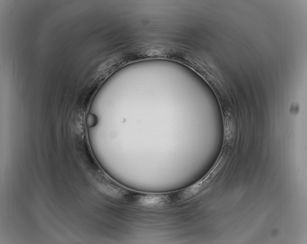 X0000096990175200802291218