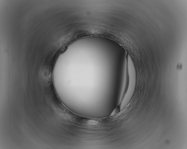 X0000096990176200802291218