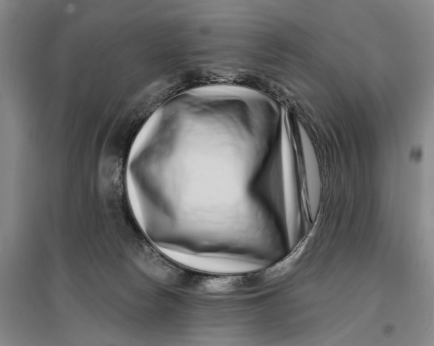 X0000096990178200802291218