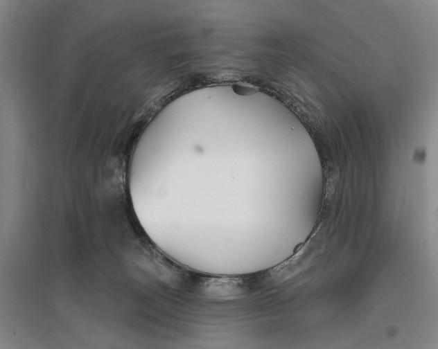 X0000096990179200802291218