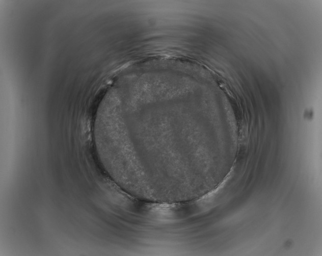 X0000096990182200802291218