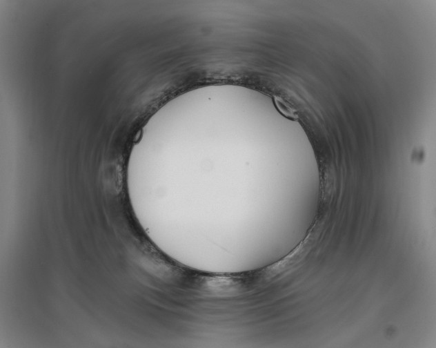 X0000096990183200802291218