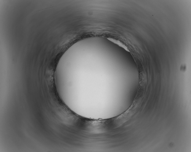 X0000096990184200802291218