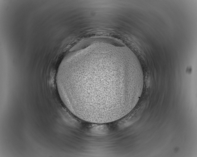 X0000096990185200802291218