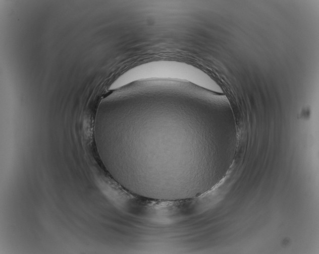 X0000096990186200802291218