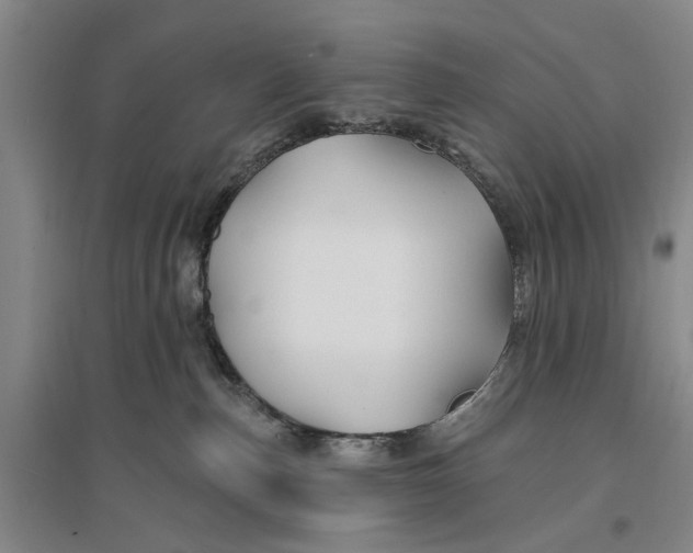 X0000096990187200802291218