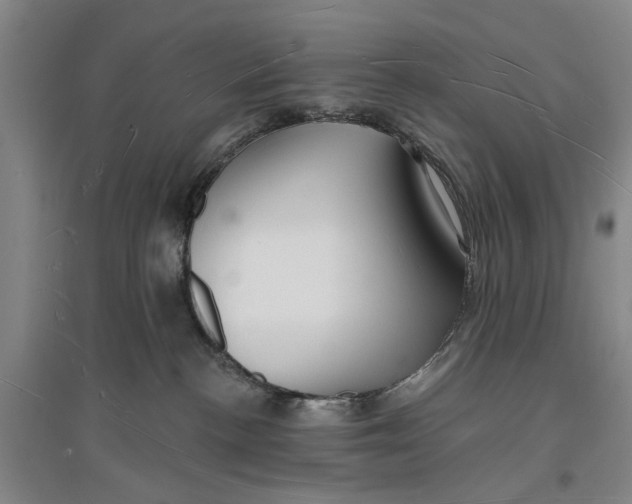 X0000096990188200802291218