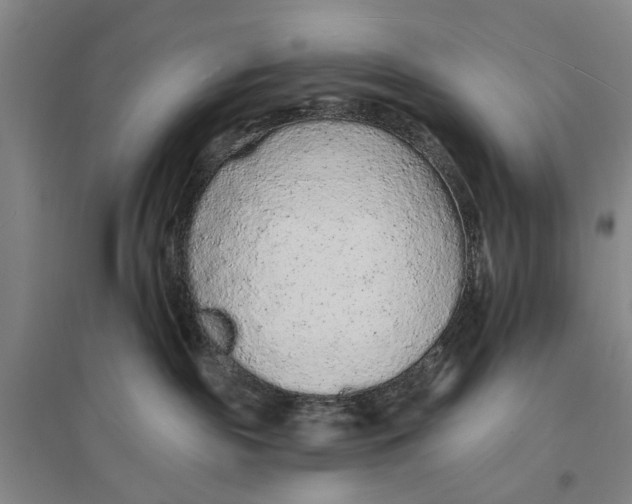 X0000096990189200802291218