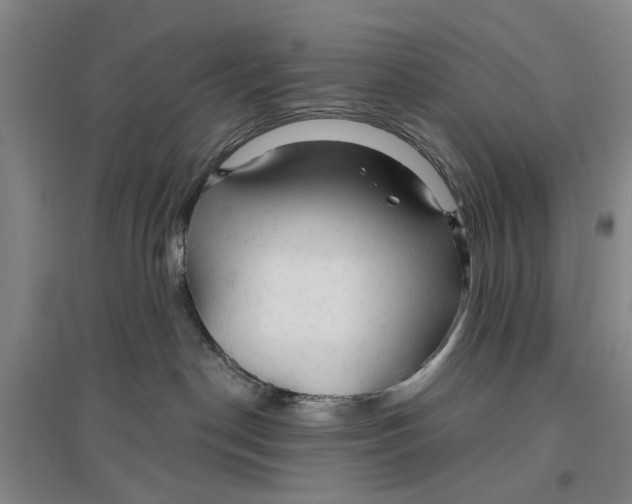 X0000096990190200802291218