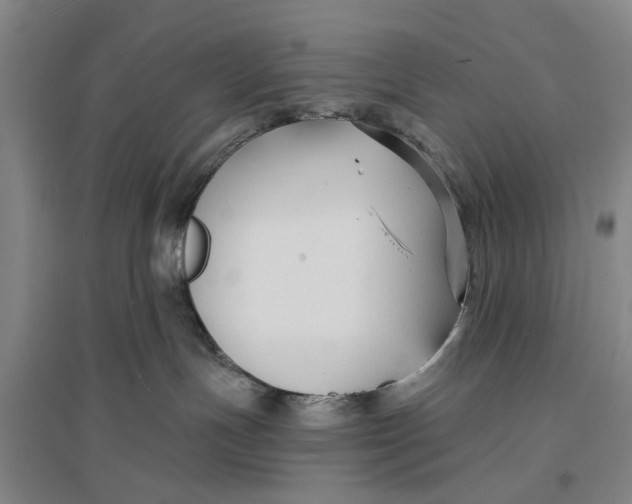 X0000096990191200802291218