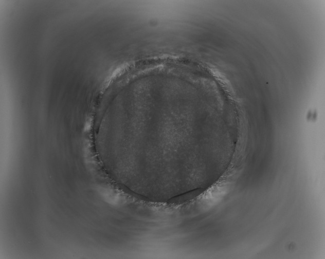 X0000096990192200802291218