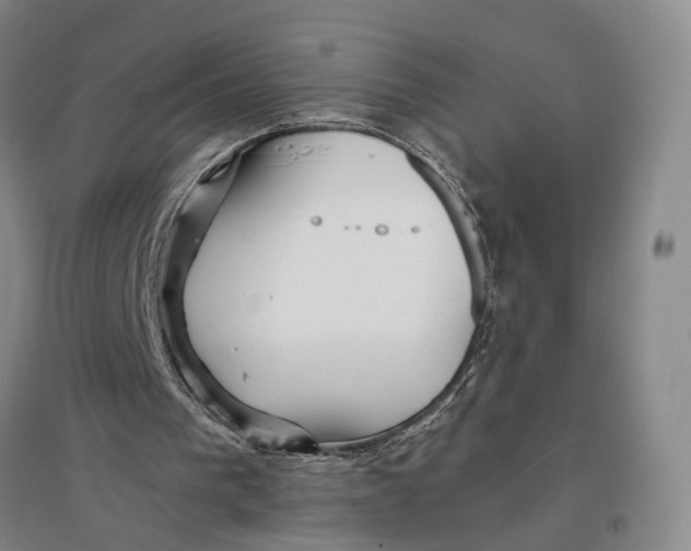 X0000096990193200802291217