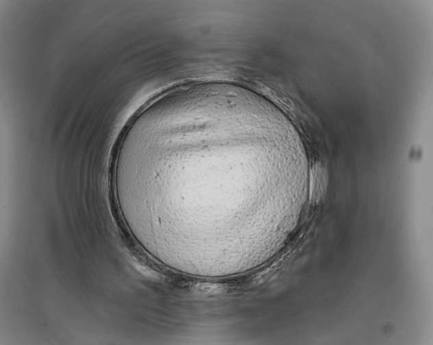 X0000096990195200802291217