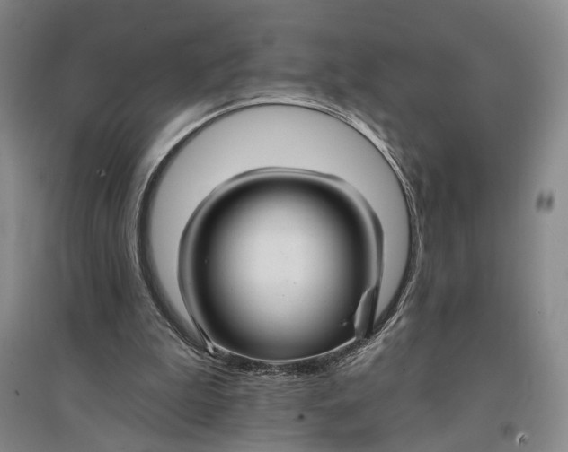 X0000096990199200802291217