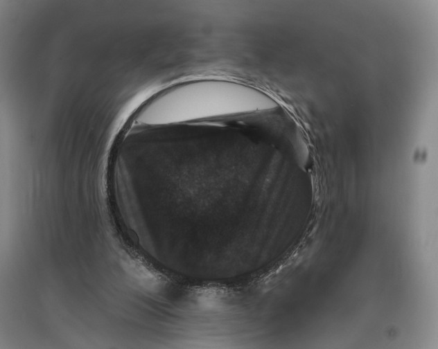 X0000096990200200802291217