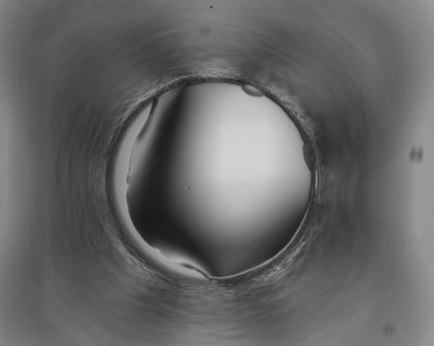 X0000096990201200802291217