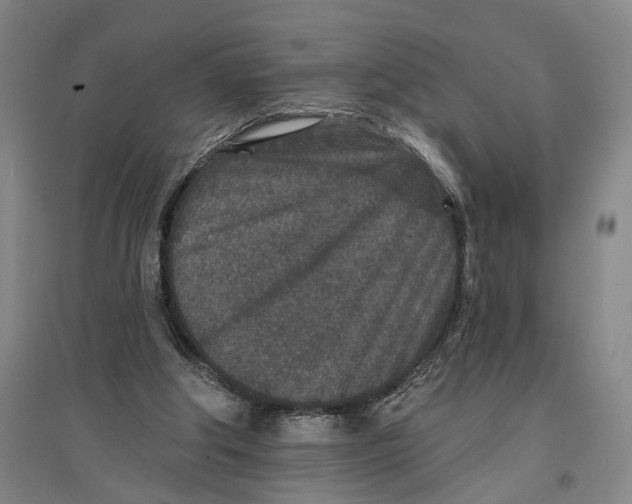 X0000096990202200802291217