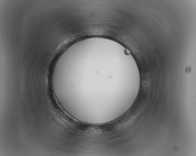 X0000096990207200802291217