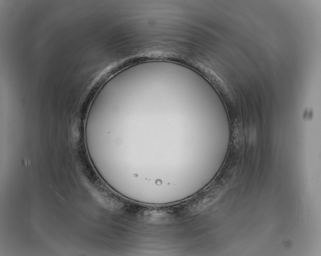 X0000096990208200802291217