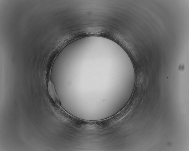 X0000096990209200802291217