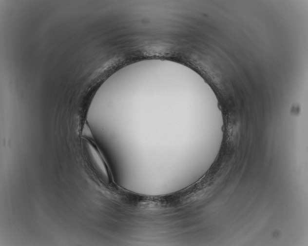 X0000096990211200802291217