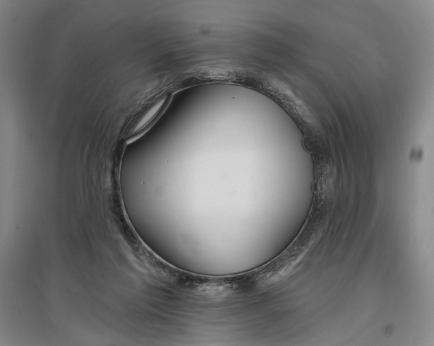 X0000096990213200802291217