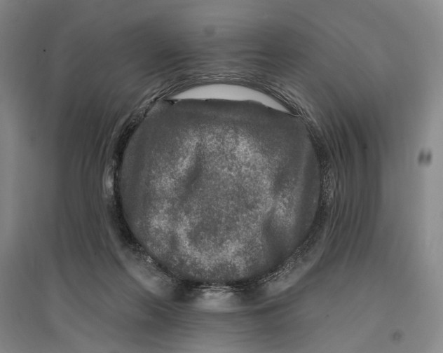 X0000096990214200802291217