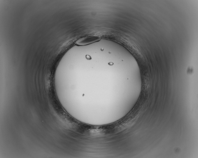 X0000096990216200802291217