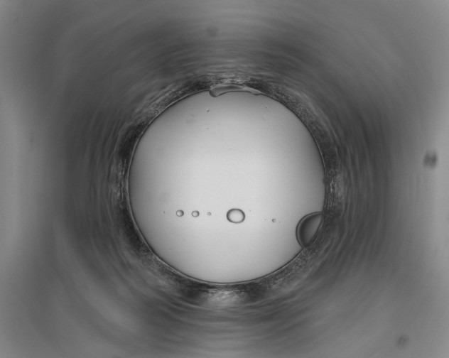 X0000096990218200802291217