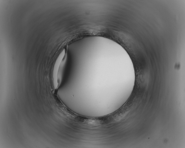 X0000096990221200802291217