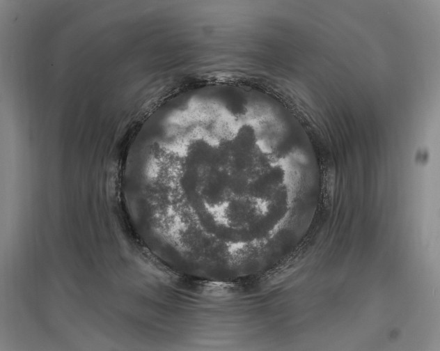 X0000096990222200802291216