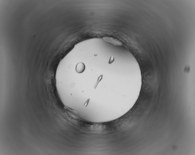 X0000096990225200802291216