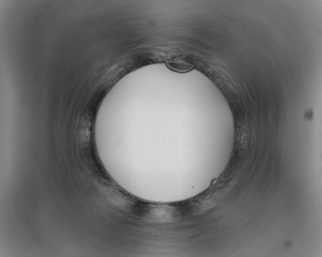 X0000096990226200802291216