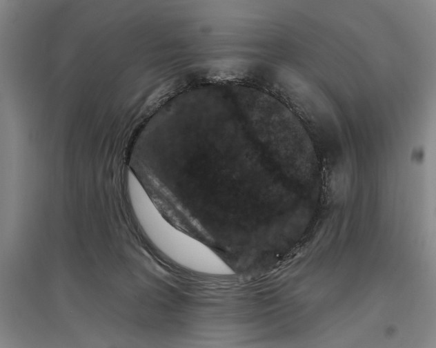 X0000096990227200802291216