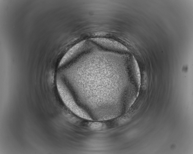 X0000096990230200802291216