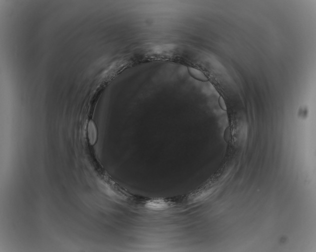 X0000096990231200802291216