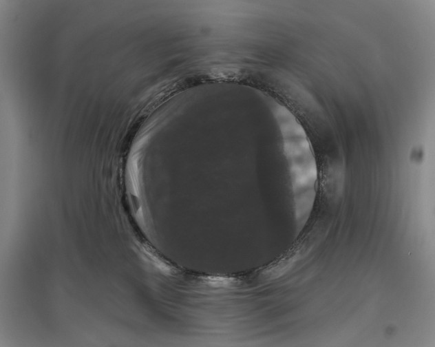 X0000096990233200802291216