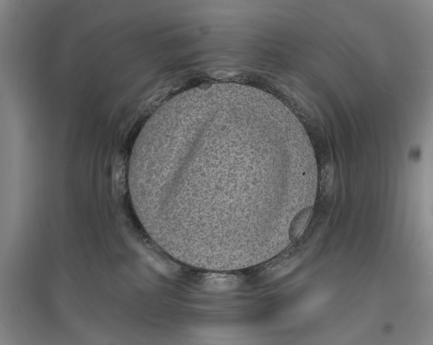 X0000096990234200802291216