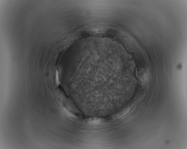 X0000096990235200802291216