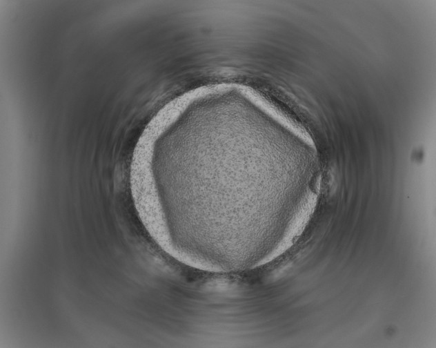 X0000096990236200802291216