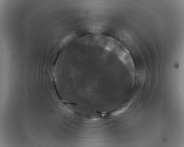 X0000096990237200802291216