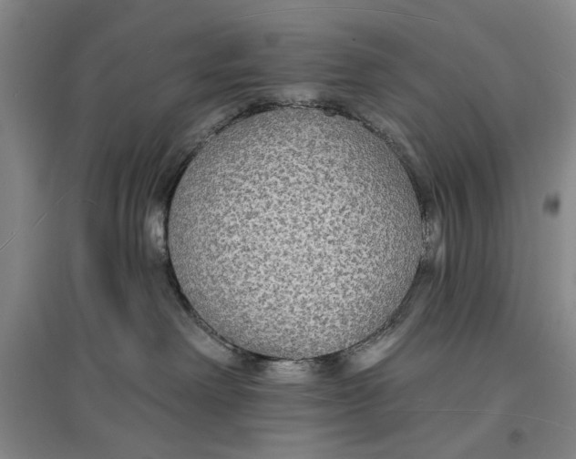 X0000096990238200802291216