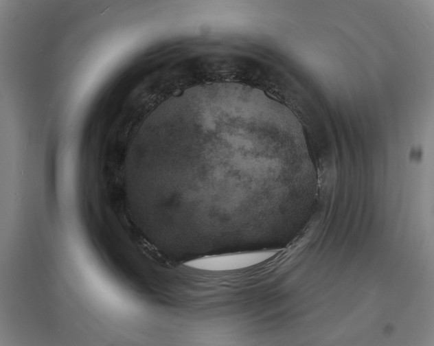 X0000096990239200802291216