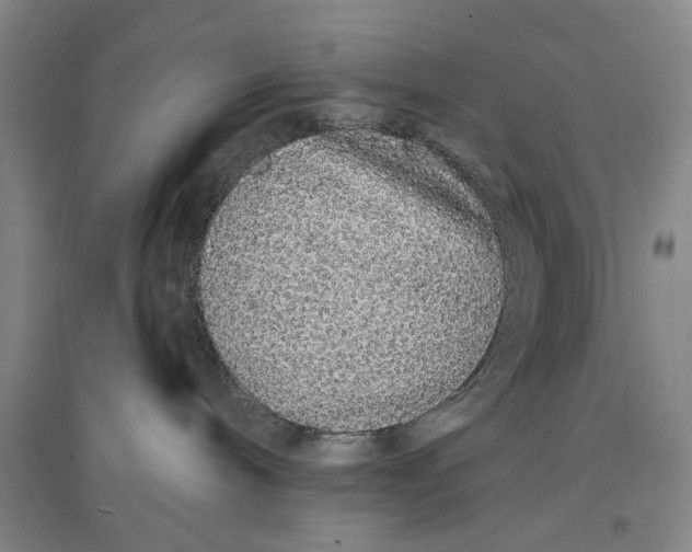 X0000096990240200802291216