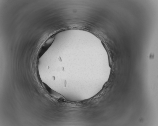 X0000096990241200802291215