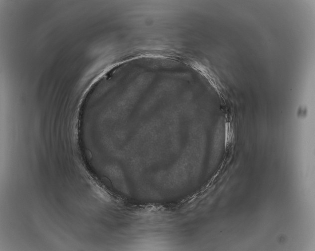 X0000096990243200802291215