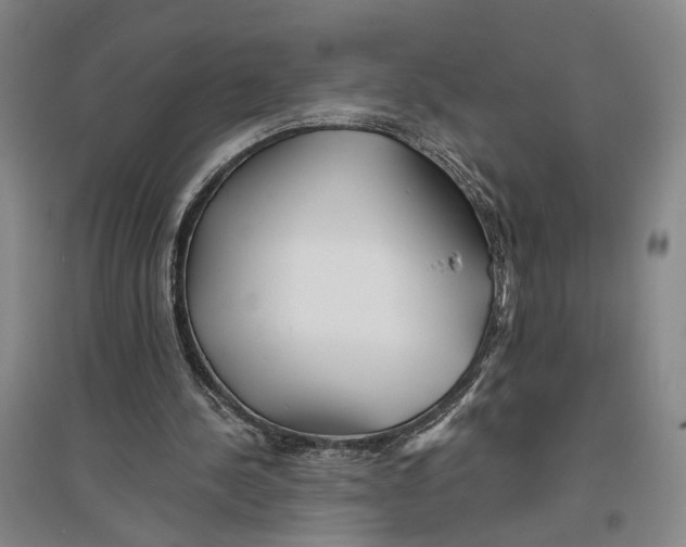 X0000096990244200802291215